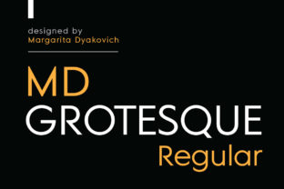 Download MD Grotesque Regular - Premium Resources