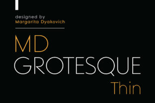 Download MD Grotesque Thin - Premium Resources